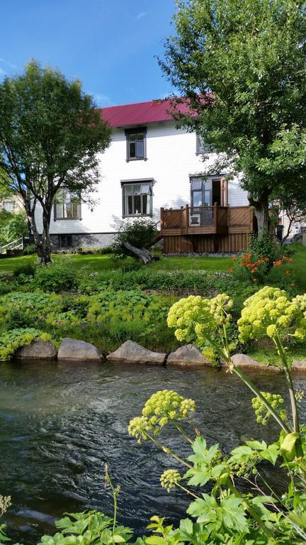 Arbol Guesthouse Хусавік Екстер'єр фото